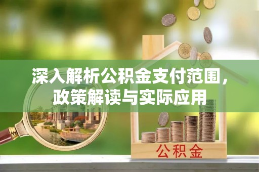 烈屿深入解析公积金支付范围，政策解读与实际应用
