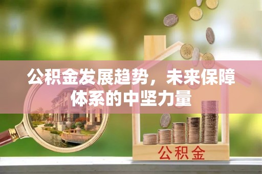 烈屿公积金发展趋势，未来保障体系的中坚力量