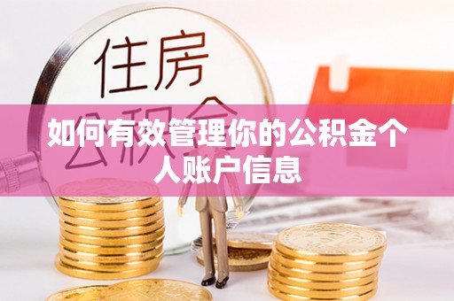 烈屿如何有效管理你的公积金个人账户信息