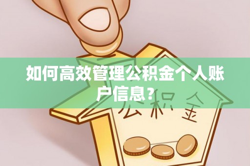 烈屿如何高效管理公积金个人账户信息？